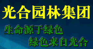 ψ@ּF(tun)