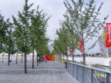 2008奧運精品工程之北京奧林匹克公園中心區(qū)中軸樹陣工程1標段