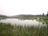 2008奧運精品工程之奧林匹克森林公園南區(qū)2號地四標段