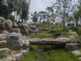 2008奧運精品工程之奧林匹克森林公園南區(qū)2號地五標段