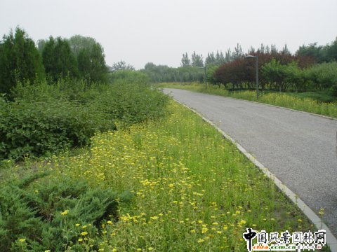 2008年奧運精品工程奧林匹克森林公園北區(qū)