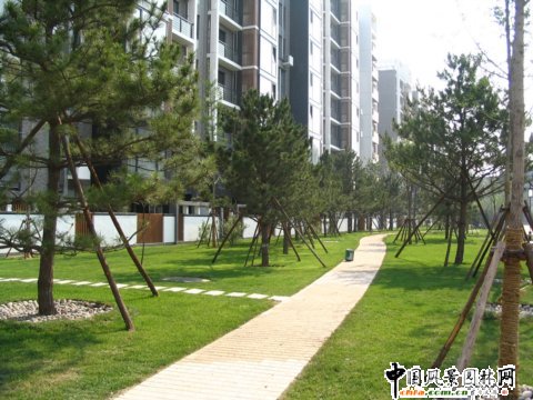 2008奧運精品工程之奧林匹克公園b區(qū)奧運村(b區(qū))