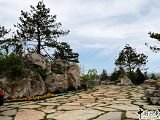 2008奧運精品工程之奧林匹克森林公園南區(qū)2號地六標段