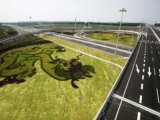 2008社會優(yōu)質(zhì)工程之機場南線高速公路綠化