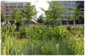 2009-2014巴黎布洛涅-比郞古社區(qū)公園