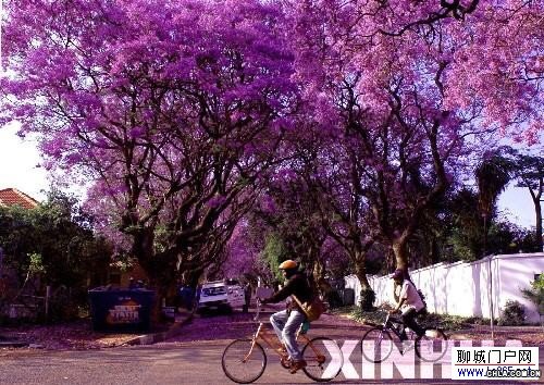 Ϸǳмs˹-ʺ֮ʢ_ޱ