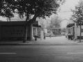 中國美院 80年校慶(圖)
