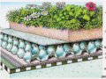 綠色屋頂為城市節能和降溫