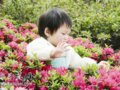 湖北：青山公園首屆杜鵑節亮出山鹿等珍稀品種