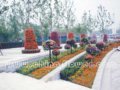 2007年奧運綠化成果展示會 決戰(zhàn)之年提前感受奧運賽時美景