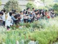 2008地被及水生植物應(yīng)用發(fā)展研討會熱點頻現(xiàn)