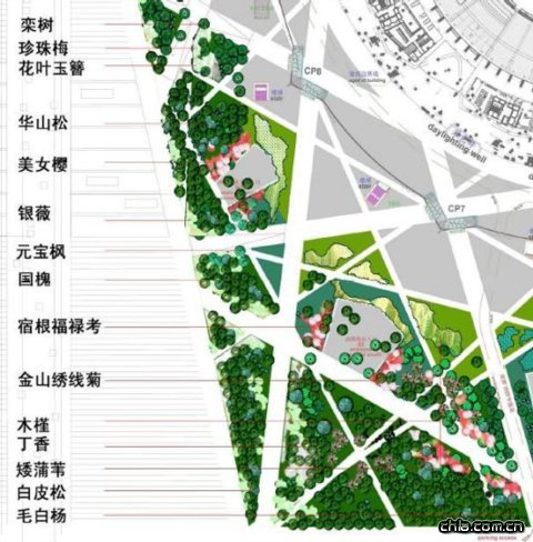 鳥巢景觀設計-西南觀眾入口