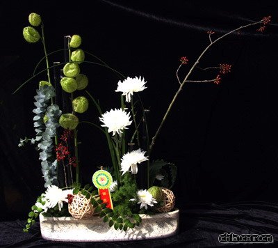 插花藝術(shù)欣賞之菊花篇(組圖)