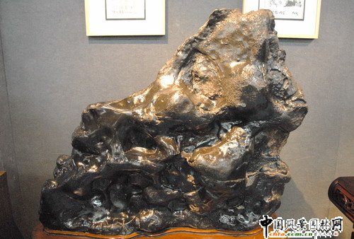 東湖公園奇石展(組圖)