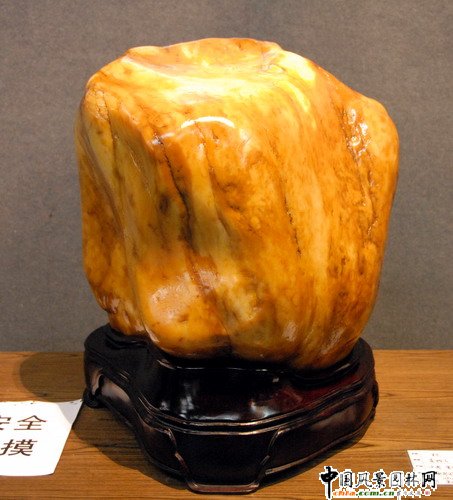 東湖公園奇石展(組圖)