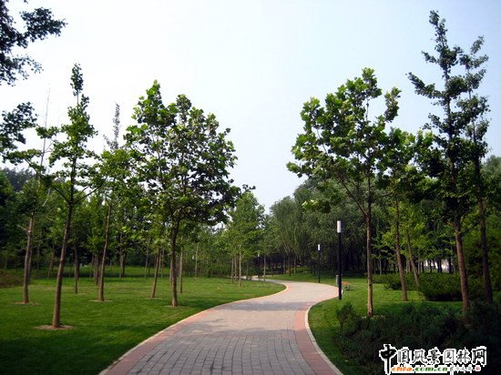 2008社會優(yōu)質(zhì)工程之五棵松文化體育中心外側(cè)代征地景觀