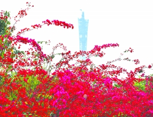 tĺ{N`Rh(yun)̎ǸƵҕ