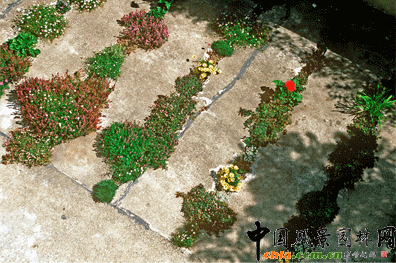 2009ASLA居住區(qū)設(shè)計類榮譽獎：裂縫花園