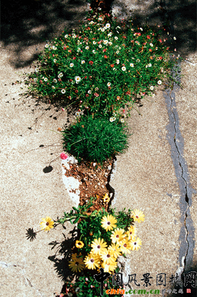 2009ASLA居住區(qū)設(shè)計(jì)類(lèi)榮譽(yù)獎(jiǎng)：裂縫花園