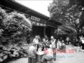 廣州文化公園改造體現西關文化特色