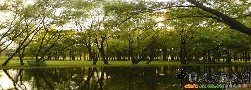 上海共青林公園
