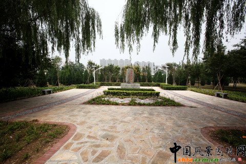 綠堤郊野公園實(shí)景照片