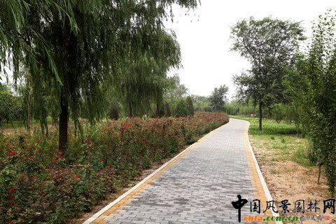 綠堤郊野公園實(shí)景照片