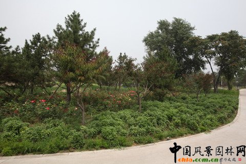 綠堤郊野公園實(shí)景照片
