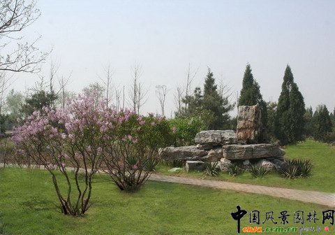 綠堤郊野公園實(shí)景照片