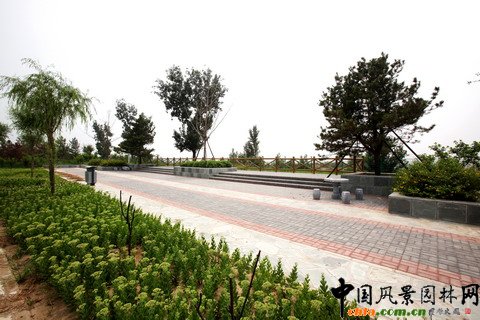 綠堤郊野公園實(shí)景照片