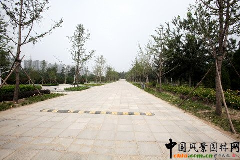 北京市豐臺區綠堤郊野公園建設工程