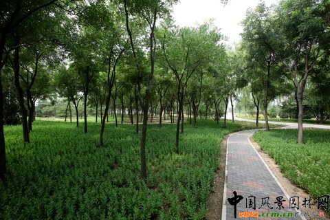 北京市豐臺區綠堤郊野公園建設工程
