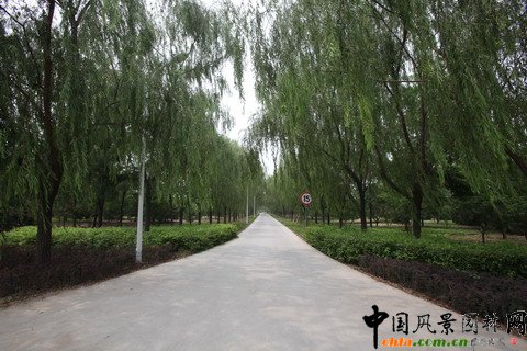 北京市豐臺區綠堤郊野公園建設工程