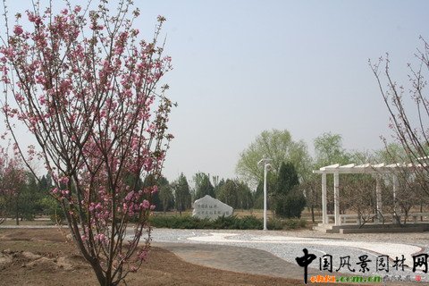 北京市豐臺區綠堤郊野公園建設工程