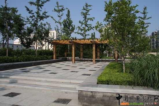 自然經(jīng)典區(qū)木質(zhì)廊架廣場