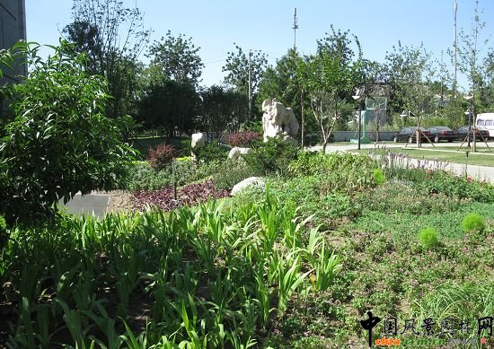 中國工程院中流砥柱花灌種植區(qū)