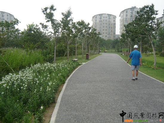 透水路面鋪裝