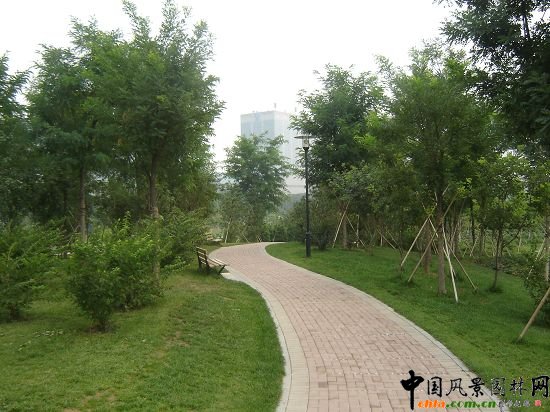 透水磚園路