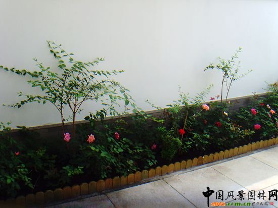 奧運(yùn)村屋頂綠化--2009年北京市優(yōu)質(zhì)工程