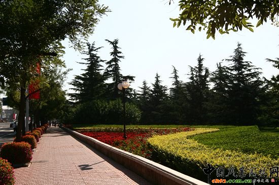 雕塑公園北綠地色帶前種植的花卉與人行道中擺放的花缽