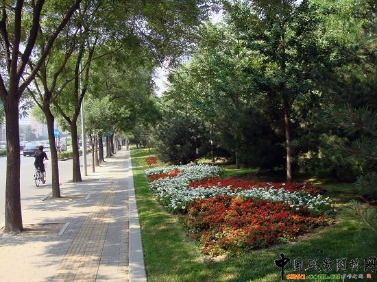 西二環(huán)示范段道路綠化整治工程