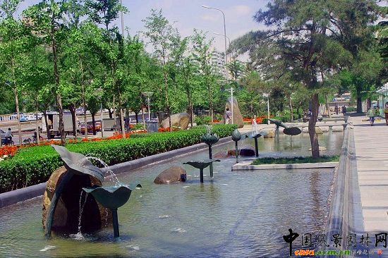 西二環(huán)示范段道路綠化整治工程