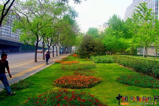 西二環(huán)示范段道路綠化整治工程