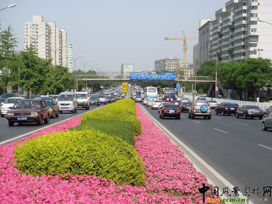 西二環(huán)示范段道路綠化整治工程