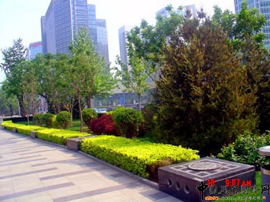 西二環(huán)示范段道路綠化整治工程