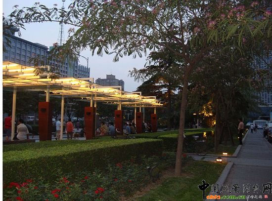 西二環(huán)示范段道路綠化整治工程