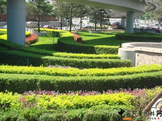 西二環(huán)示范段道路綠化整治工程