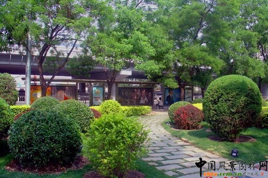 西二環(huán)示范段道路綠化整治工程