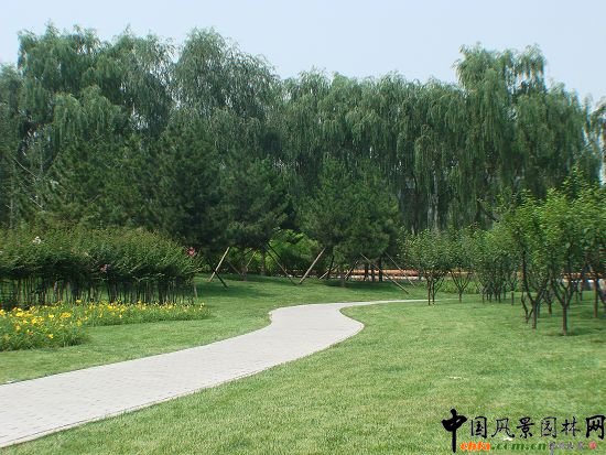 林間小路