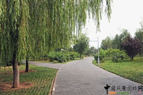 園內主路